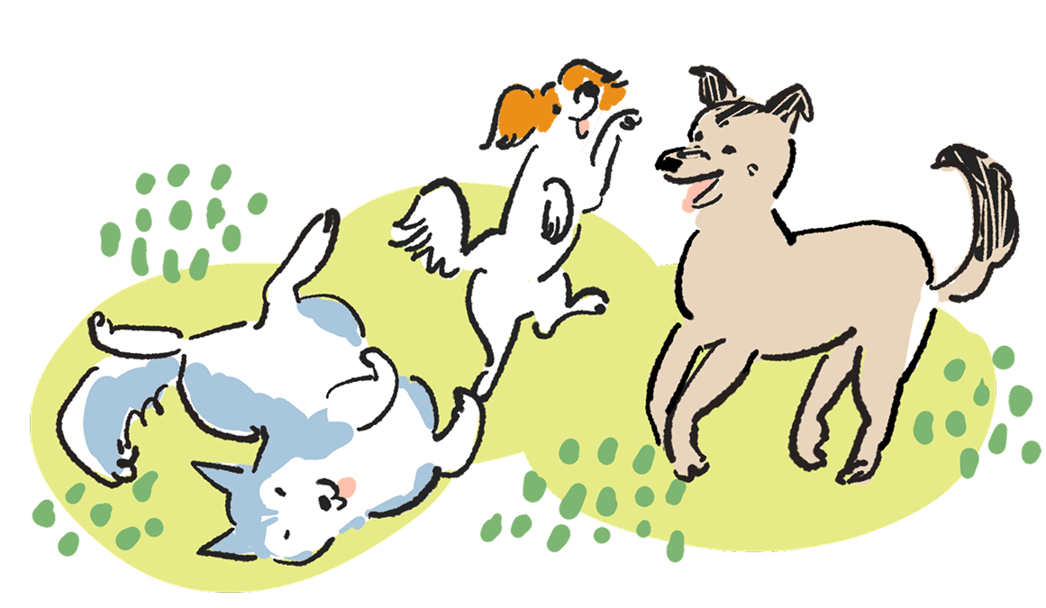 犬が遊ぶイラスト